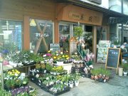 「花政」　（神奈川県茅ヶ崎市）の花屋店舗写真1